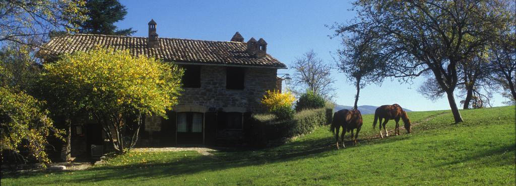 Le Silve Di Armenzano Hotel Assisi Exterior photo